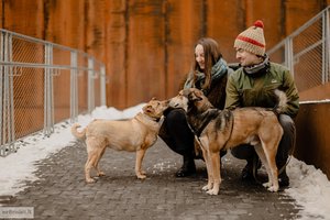 Paklydusį švelnų jaunuolį priglaudusi pora gavo paimti ir antrą tragiško likimo šunelį