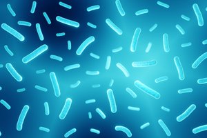 Kosmosą užkariauti padės mikroorganizmai