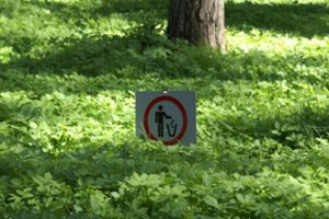 Petrašiūnų kapinių lankytoją piktina kauniečių elgesys: „Kultūra baigiasi ties nuosavo kapo riba“ 