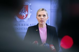 A. Bilotaitė atmeta aktyvistų kritiką dėl pasieniečių rėmėjų instituto: apie smurtą negali būti net kalbos