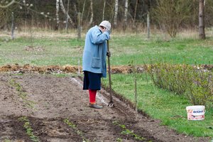 Prekybininkai pastebi naujas sodininkytės tradicijas: šių prekių pardavimai išaugo net tris kartus