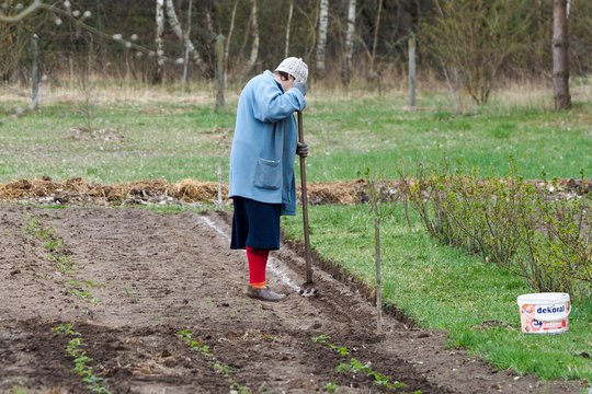 Senstanti visuomenė – iššūkis Lietuvai: M. Navickienė pirštu beda į vyresnius žmones – štai ką jiems siūlo