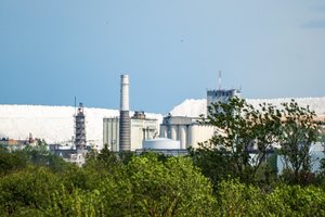 Į „Lifosos“ prašymus neatsižvelgs: bendrovei būtinas laikinasis administratorius