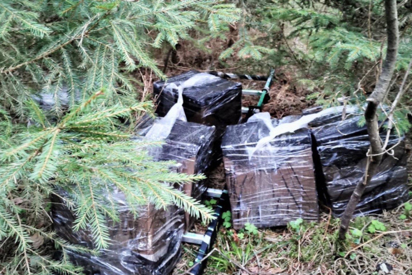 Kontrabandinės cigaretės.