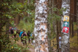 Olimpinėje dienoje – išskirtinis žygis su „TrenkTuru“: vaizdingas ir sentimentalus maršrutas