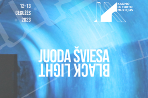 Europos muziejų naktį – instaliacija apie šviesą ir atminimą