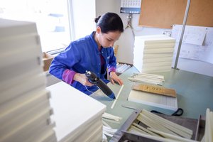 Finansų viceministrė: iki metų pabaigos ketinama paskelbti kvietimų už 4,6 mlrd. eurų