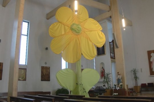 Šiauliuose Motinos diena pasitikta su iššūkiu: siekia aukščiausios dirbtinės Lietuvos gėlės rekordo