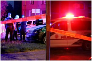 Iš kaltinamųjų 15-metės nužudymu Šiauliuose siekiama prisiteisti 40 tūkst. eurų neturtinės žalos