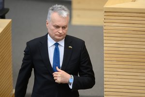 K. Budrys nemano, kad dėl VSD veiklos reikia steigti parlamentinę tyrimo komisiją: Seimas turi kitų įrankių