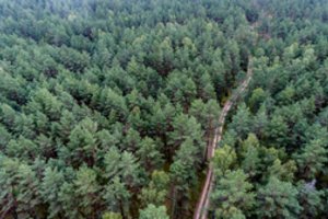 Pasivaikščioti po Čepkelių mokomąjį pažintinį taką bus galima tik lydint specialistui