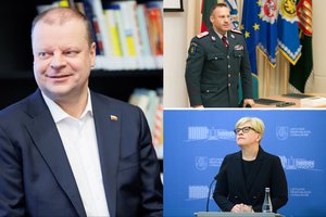 Premjerė stebisi S. Skvernelio kritika L. Pernavui: jeigu galėjo būti premjeru, tai gali būti bet kuo