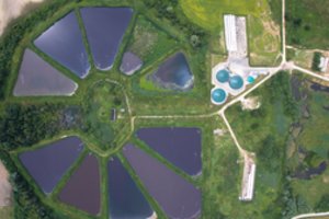 „Login“ maisto atliekos virs žaliąja energija: edukuoja prieš kitąmet laukiančius esminius rūšiavimo pokyčius