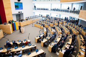 Seime – diskusijos dėl valstybės tarnybos reformos: opozicija turi nemažai pastabų