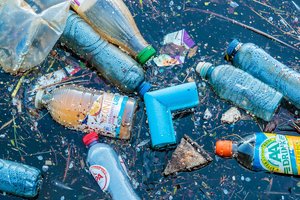 Atrasti mikrobai, galintys skaidyti plastiką ir žemoje temperatūroje