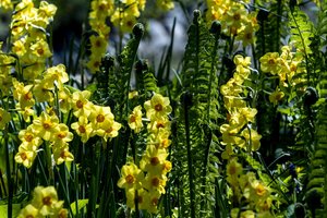 Seime pristatytas Lietuvos Žaliųjų savivaldybių nacionalinis tinklas: žadama iššūkius paversti galimybėmis