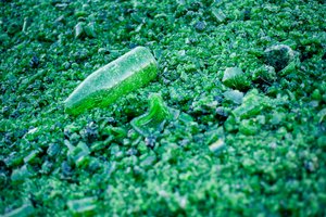 Amžinas resursas – stiklas: ekspertai paaiškino, kas turėtų keliauti į jam skirtą konteinerį