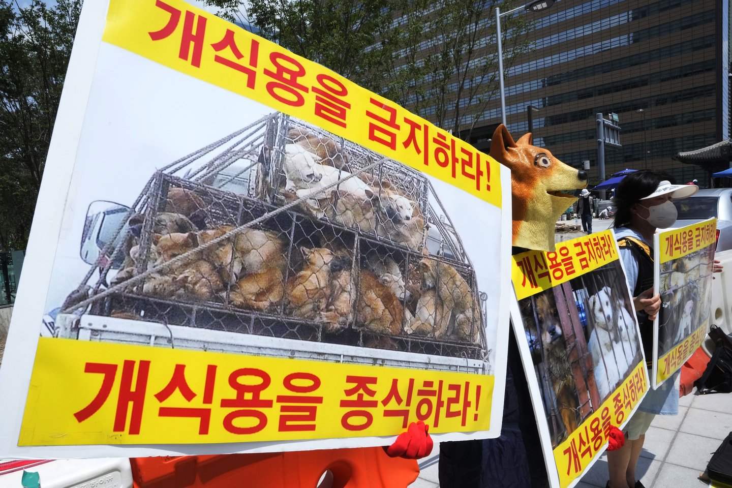  Protestas Pietų Korėjoje.<br> AP/Scanpix nuotr.