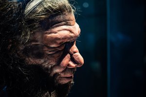 Laivą sukūrėme visai ne mes: pirmosios kelionės jūromis vyko anksčiau nei manyta