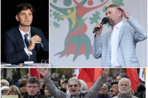 Ekspertai gesina „Šeimų sąjūdžio“ ugnį: maršas į Seimą pavyktų tik vienu atveju