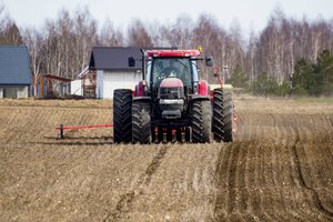 Sėja susivėlino, dirva ilgai buvo šlapia – ūkininkai nė nebando spėti, koks šiemet bus derlius