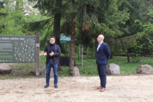 Vieną gražiausių Lietuvos ąžuolynų lankyti bus patogiau: atidarytas atnaujintas Dūkštų ąžuolyno takas