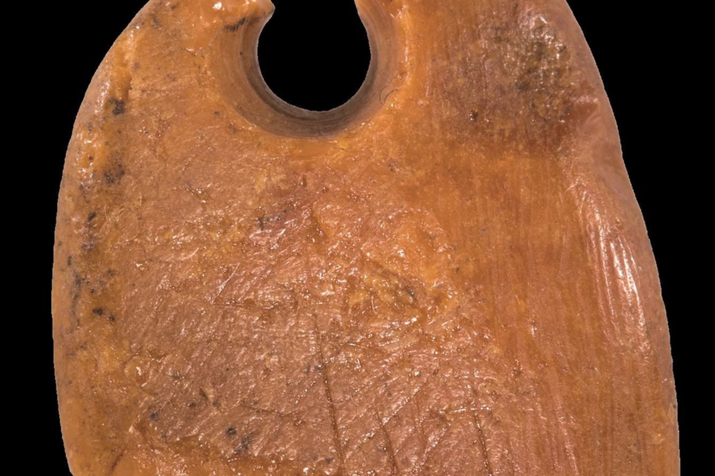 Palangos gintaro muziejuje gegužės 19 dieną atidaroma su Vokietijos gintaro muziejumi parengta paroda „Gintaras iš gelmių“<br>Palangos gintaro muziejaus nuotr. 