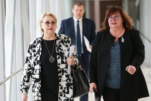 Socialdemokratai įvertino Vyriausybės ataskaitą: primena kreivų veidrodžių karalystę