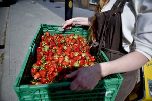 Pirmosios lietuviškos uogos – jau ant prekystalių: ką ir už kiek jau galite įsigyti