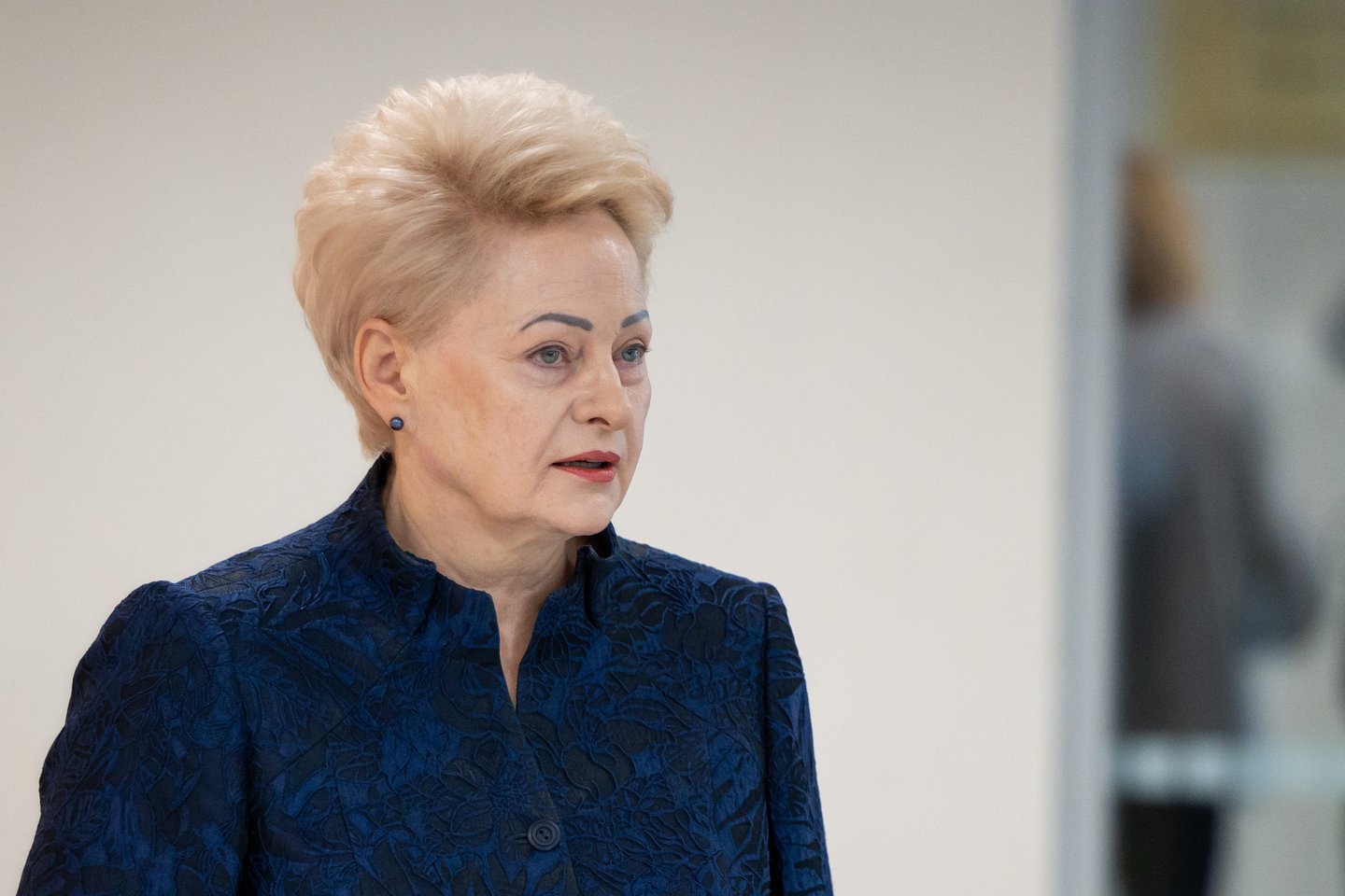  D.Grybauskaitė<br> A.Ufarto/ELTA nuotr.
