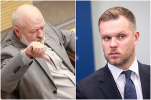 E. Gentvilas: parašiau žinutę G. Landsbergiui, kad pritariu Vyriausybės atstatydinimui