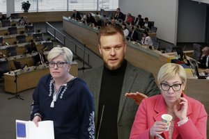 G. Landsbergio grasinimas papiktino ekspertus: paaiškino, ko siekia konservatoriai