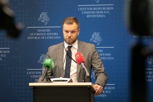 Seimo opozicija apie G. Landsbergio pareiškimą: gal nevogti jiems ir per aukšti standartai