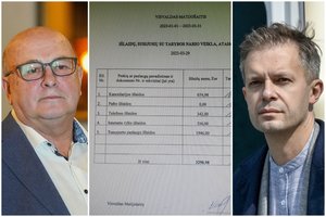 A. Tapinas išvydo V. Matijošaičio išlaidų ataskaitą: prokurorai turės darbo