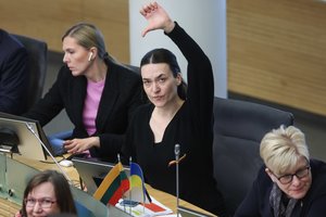 Konservatoriai nesutinka su kritika: pirmalaikiai rinkimai yra racionalus pasiūlymas