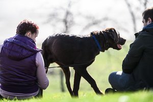 Psichologė dalinasi paprastais būdais, padėsiančiais įveikti nerimą: ši terapija nekainuos nei cento