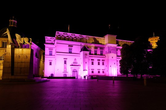 Šiais 2023 metais gegužės 19 naktį buvo apšviestas Valdovų rūmų fasadas, o 19 dienos popietę violetine atributika pasidabinęs Neringos Kirkilienės linijinių šokių kolektyas kvietė prisijungti prie nuotaikingo flashmobo - grupinio šokio.<br> L. Masio nuotr.