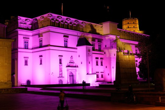  Šiais 2023 metais gegužės 19 naktį buvo apšviestas Valdovų rūmų fasadas, o 19 dienos popietę violetine atributika pasidabinęs Neringos Kirkilienės linijinių šokių kolektyas kvietė prisijungti prie nuotaikingo flashmobo - grupinio šokio.<br>L. Masio nuotr.