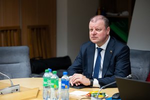 Seimo opozicija nebeturi vilčių susitarti dėl opozicijos lyderio: dėl žlugusių derybų kaltina vieni kitus