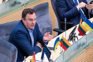 Kol politikai diskutuoja dėl pirmalaikių Seimo rinkimų, P. Gražulis ėmėsi darbų: įregistravo nutarimo projektą