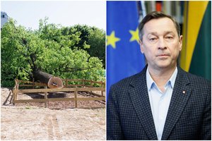 Kilus skandalui dėl nukirsto šimtamečio ąžuolo – A. Zuoko reikalavimas sostinės vadovams: „Vilnius laukia“