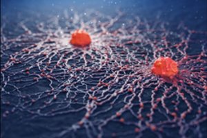 Kai kurie mokslininkai teigia, kad vėžys yra žmogaus sukelta liga