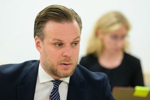 G. Landsbergis siūlo pirmalaikius Seimo rinkimus rengti rugsėjį 