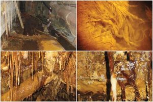 Apleistoje urano kasykloje klesti paslaptinga gyvybė