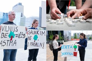 Vilniuje – prostestas dėl nukirsto ąžuolo: renkasi pirmieji gyventojai