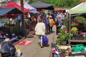 Nerijus Mačiulis: šis dalykas Lietuvoje gali virsti į ką nors baisesnio