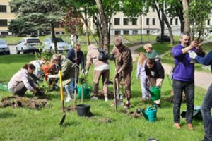 Kretingoje – 770 naujų medžių ir žydinčių krūmų