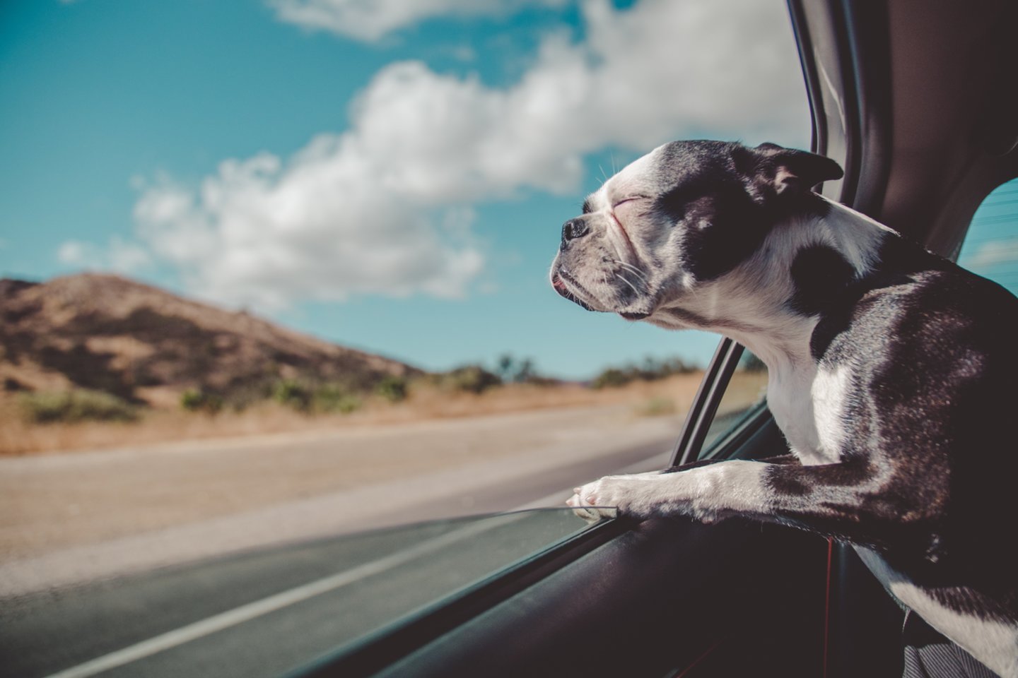 Daugelis vairuotojų automobiliuose įsijungia oro kondicionierių, kad nereiktų važiuoti pravertu langu ir kelionė būtų komfortiška.<br>Avi Richards/Unsplash nuotr.