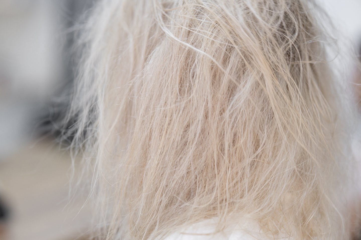 Jeigu jau išbandėte draugės rekomenduotą šampūną, mamos pasiūlytą naminę plaukų kaukę ir netgi plaukų augimą stimuliuojantį purškiklį, tačiau slenkantys plaukai ir toliau kelia nerimą – pats laikas imtis rimtesnių veiksmų.<br>pixabay.com nuotr.