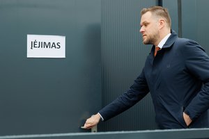 G. Landsbergis: projektą dėl pirmalaikių rinkimų konservatoriai turėtų registruoti dar šią savaitę